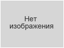 Таблички Опасный груз ДОПОГ, рельефные (переключаемые - бензин, дизель), заказать в Туле онлайн с доставкой по выгодной цене